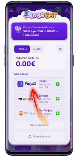 Valitse RoboCat Casino käytettävissä oleva maksutapa